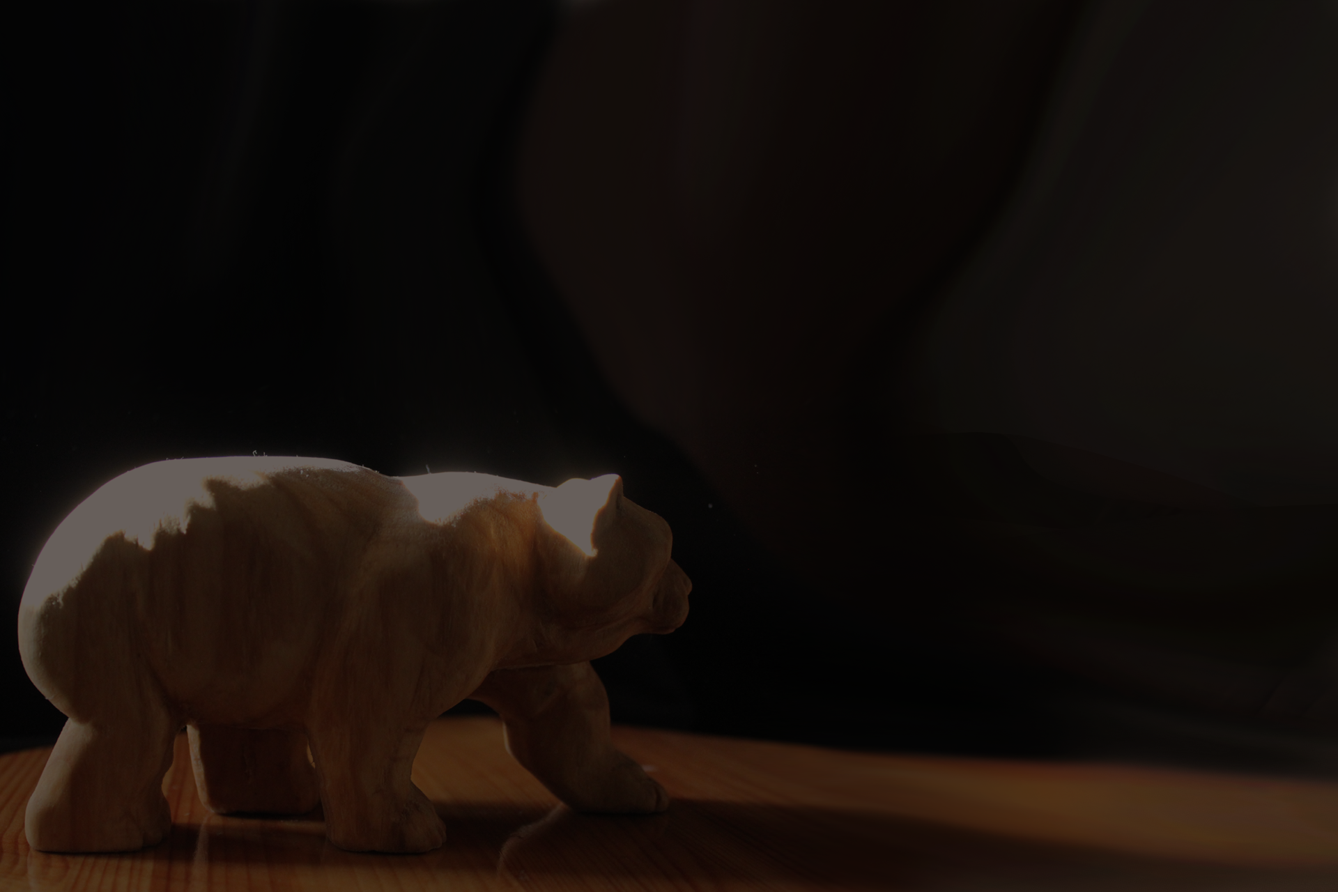 Ours Bipolaire